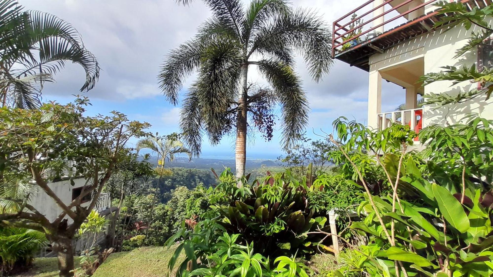 Dave Parker Eco Lodge Hotel Apia Exterior foto