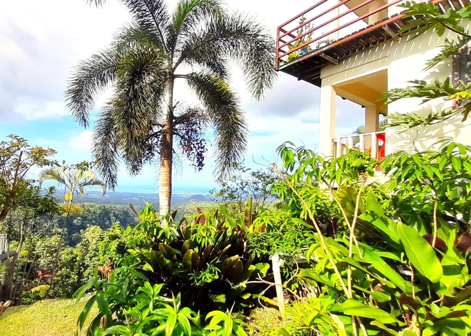 Dave Parker Eco Lodge Hotel Apia Exterior foto