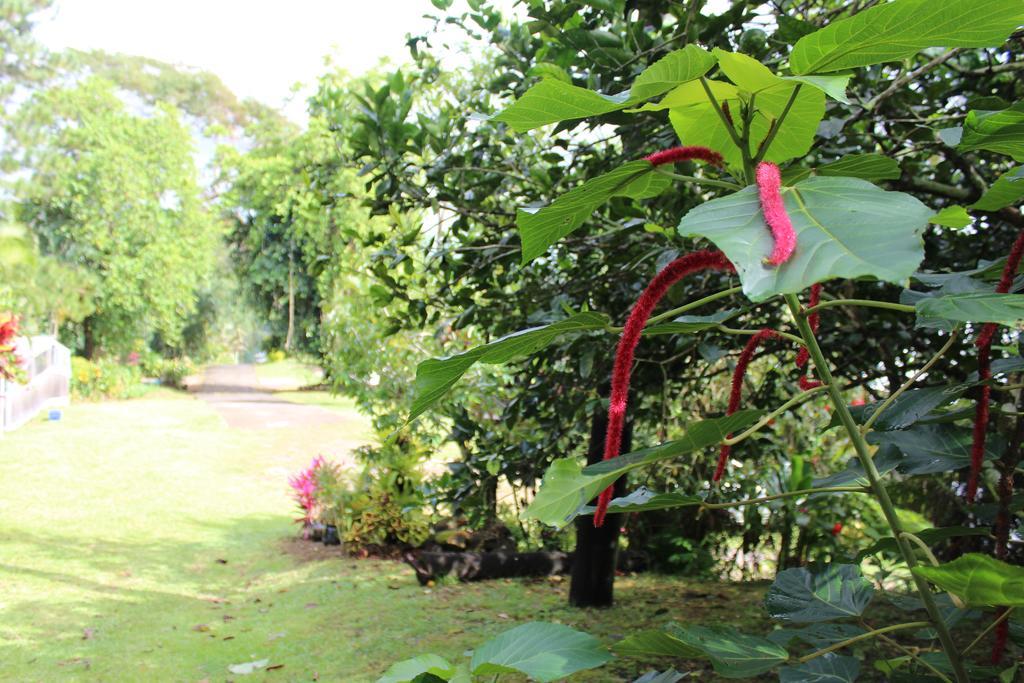 Dave Parker Eco Lodge Hotel Apia Exterior foto
